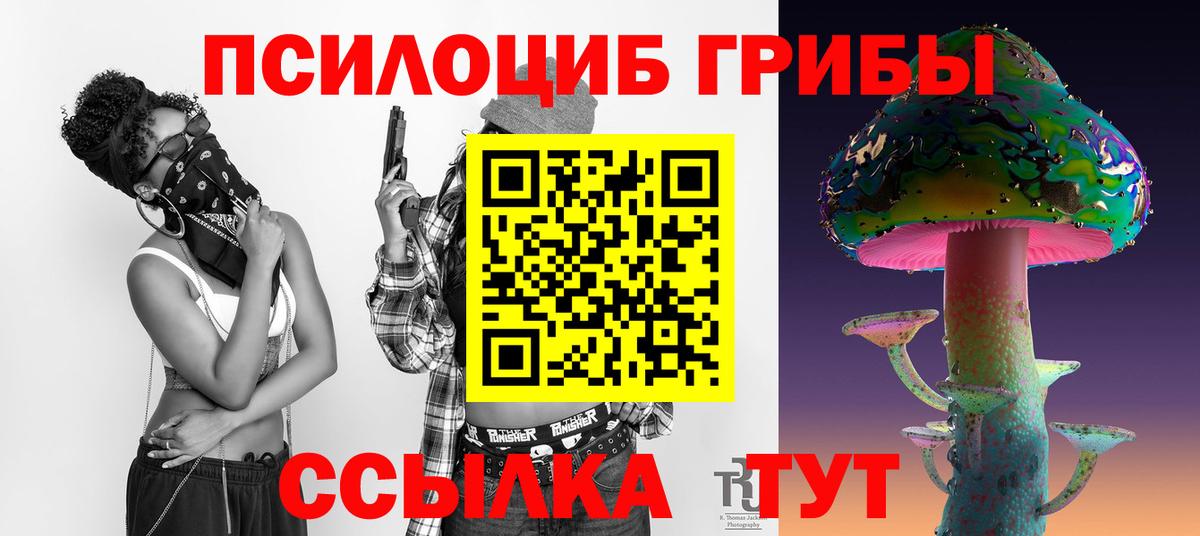 продажа наркотиков  Вход с VPN  Пенза  Галлюциногенные грибы прущие грибы 