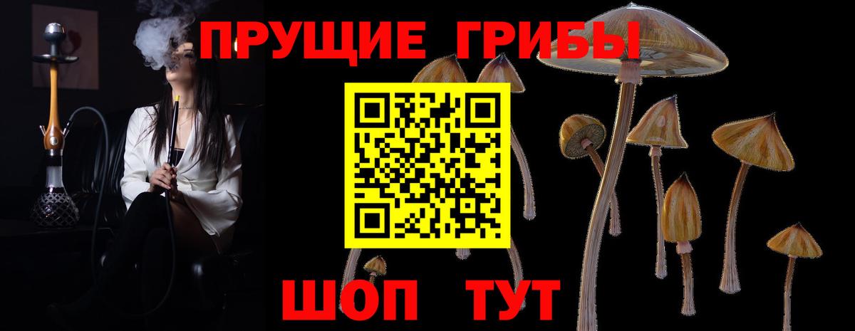 Псилоцибиновые грибы мицелий Пенза